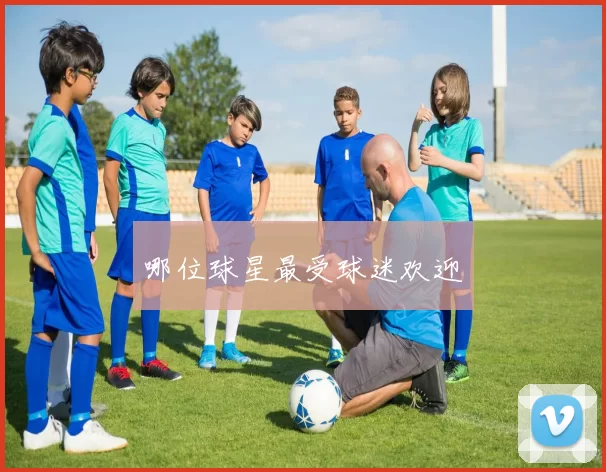 哪位球星最受球迷欢迎